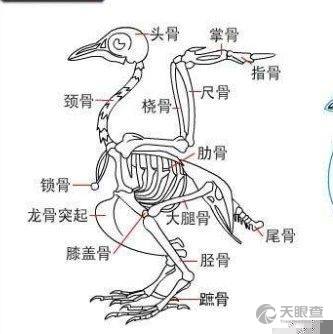 杭州乾袋科技有限公司