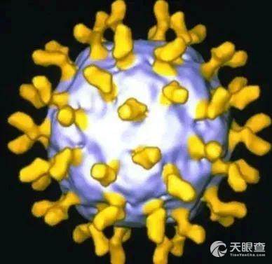 蜱虫感染是轻症么 51fc03dda7fff579143e4e895ef197001b5b7ad9_30891b8343f6e275b4225c43693d868c8fd53f07.jpeg@!w_400x268