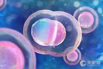 啥叫试管移植 6d6f8806c865436cdbd3a0d0a78abda62f29e7ed_4ab834d4c3a9dd48538f5c203b064e444ebb614a.jpeg@!w_400x268