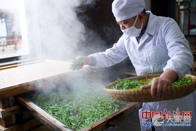 武汉陆羽国际茶业交易中心有限公司_电话_工商信息_风险信息 - 天眼查