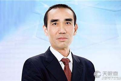 林定强 - 法定代表人/高管/股东 - 重庆金辉锦江房地产有限公司