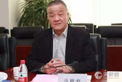 李永军 - 法定代表人/高管/股东 - 广东喜之郎集团有限公司 - 天眼查