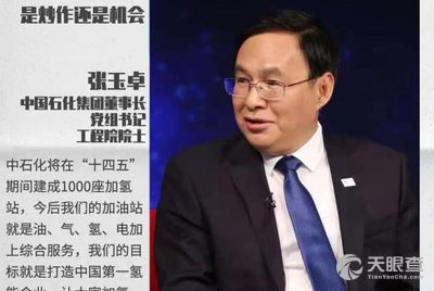 隆基李振国,中石化张玉卓做客央视《对话》:氢能是炒作还是机遇?