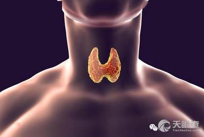 e80a9e1e494e6c813f894183d90ca1d0930c9859_0bb5b24bb59bd6158a2678f111e209630e377fda.jpeg@!w_400x268