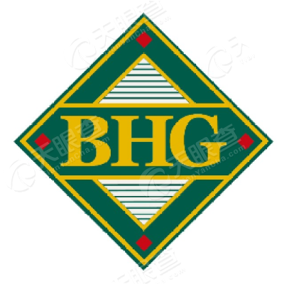 bhg超市logo图片