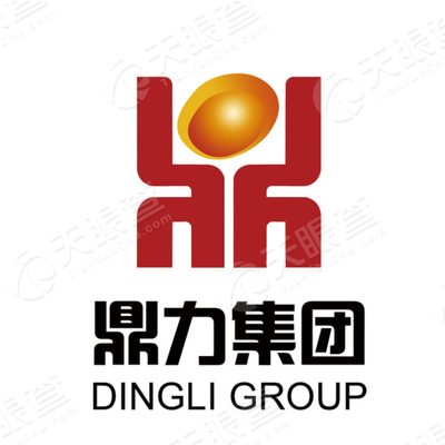 山东鼎力枣业食品集团有限公司