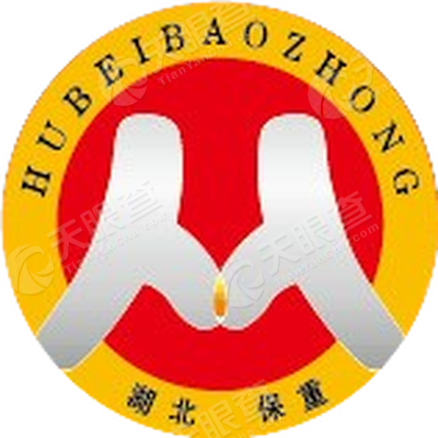 湖北保重保险代理有限公司