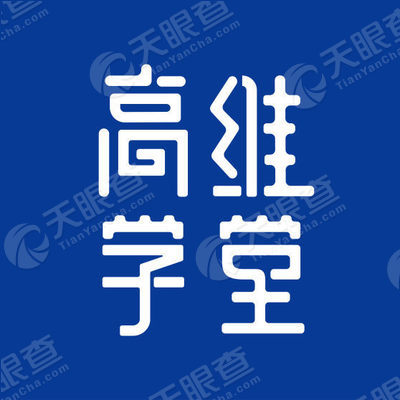 高维信息技术(深圳)有限公司