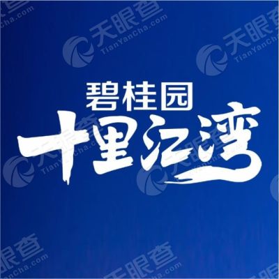 阳江市滨海新区碧桂园房地产开发有限公司