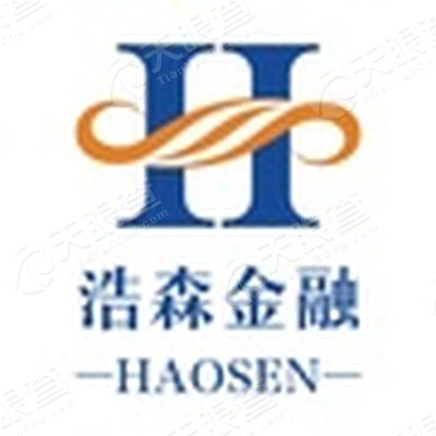 深圳市浩森社交互联网金融服务有限公司