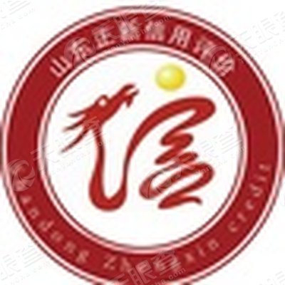 山东正新信用评价有限公司